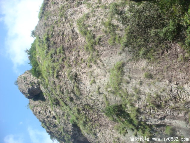 DSC04912.JPG