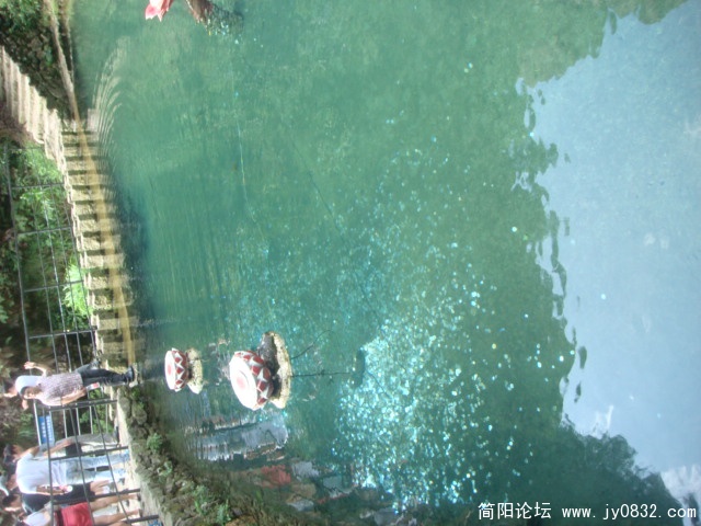 DSC04932.JPG