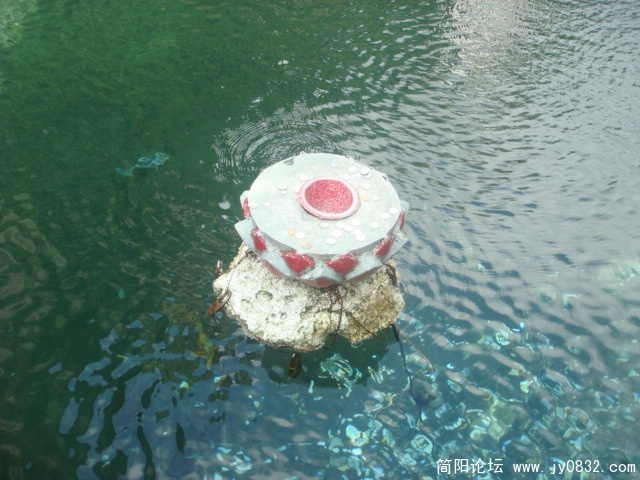 DSC04911.JPG