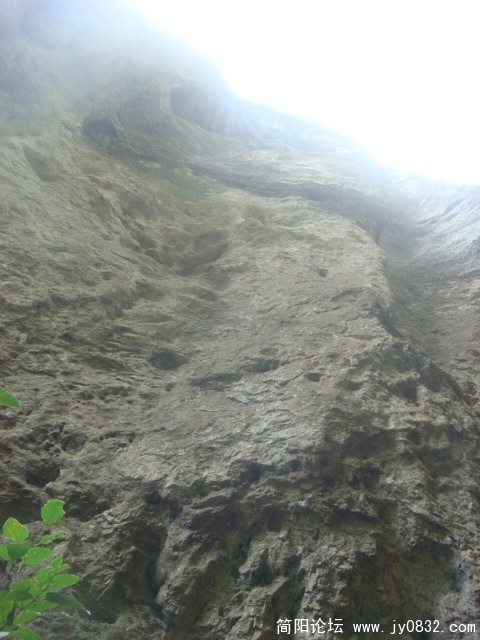 DSC04935.JPG