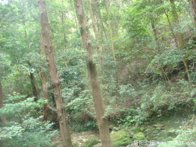DSC04964.JPG