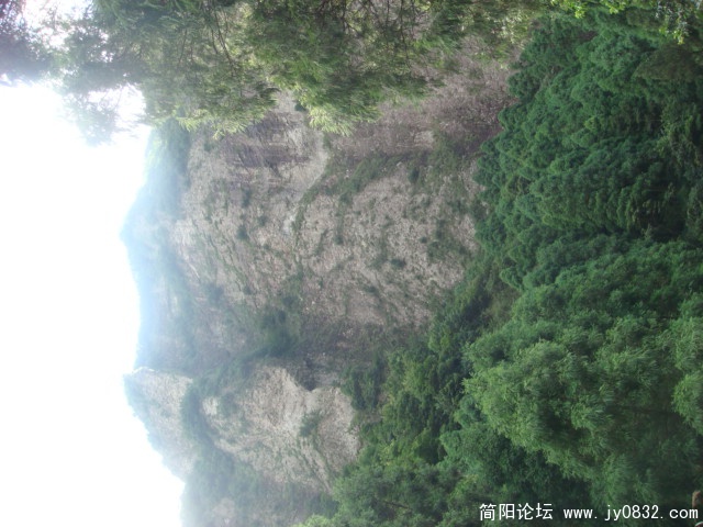 DSC04986.JPG