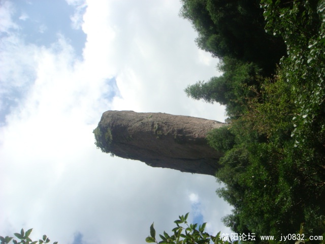 DSC04985.JPG