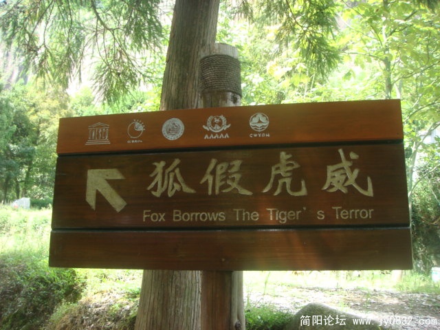 DSC04981.JPG