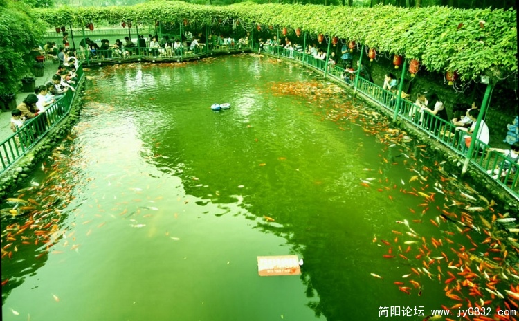 _DSC2416  拷贝.jpg