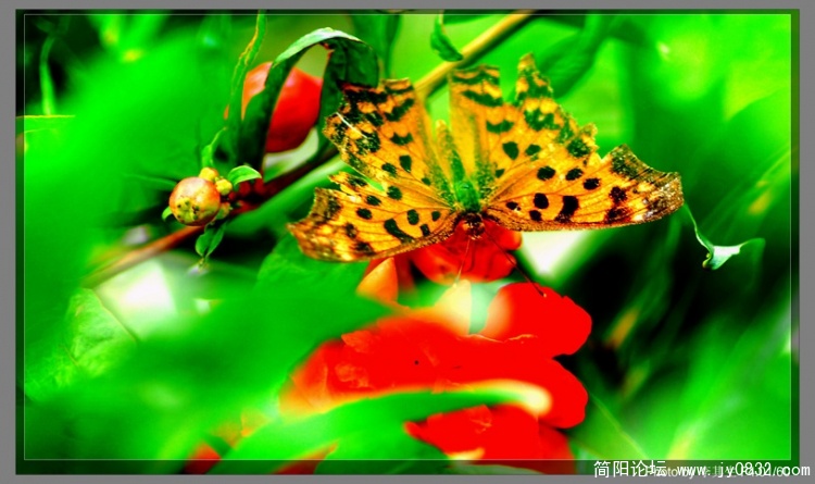 DSC_0087  拷贝.jpg