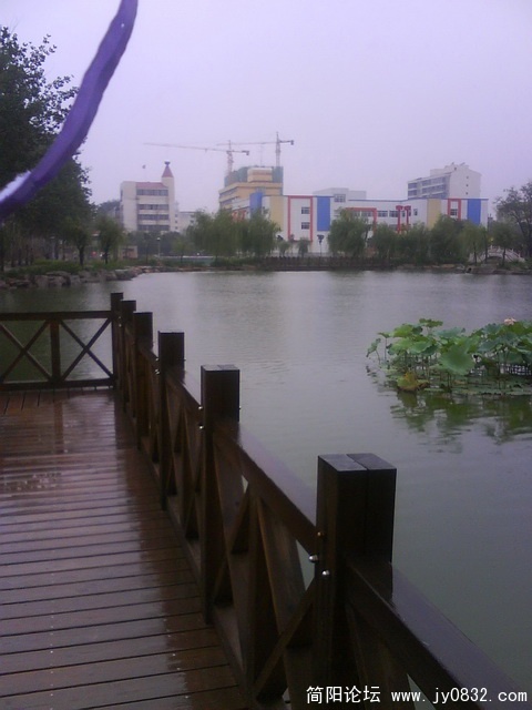 DSC00063.jpg