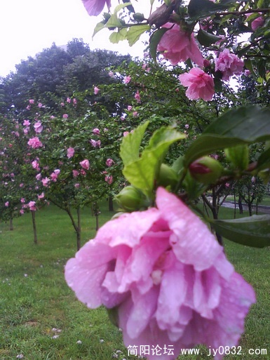 DSC00051.jpg