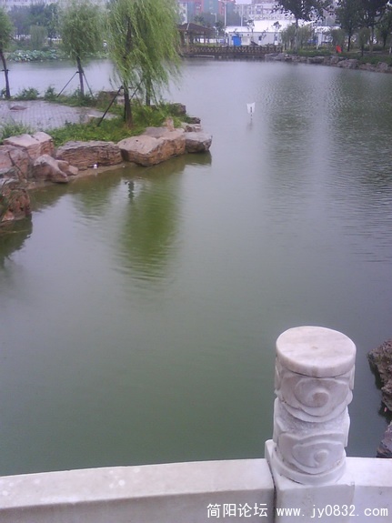 DSC00071.jpg
