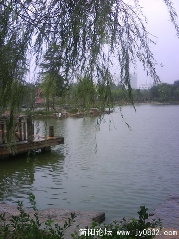DSC00067.jpg
