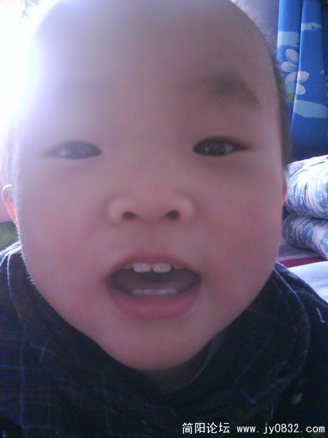 DSC00012.jpg