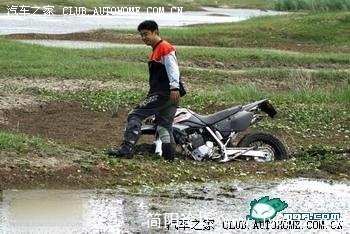 500_1d864b57-b2aa-4b23-89af-f80ec303309c.jpg
