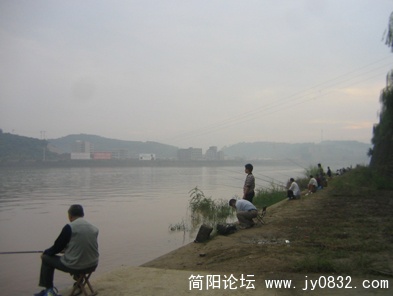 每天早晨沱江两岸都有许多钓鱼者