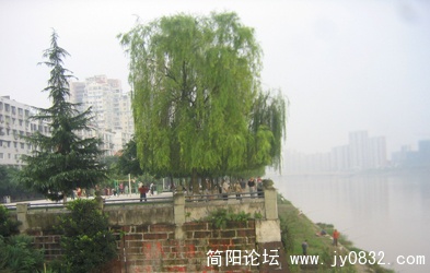 滨江广场的早上充满生命的活力