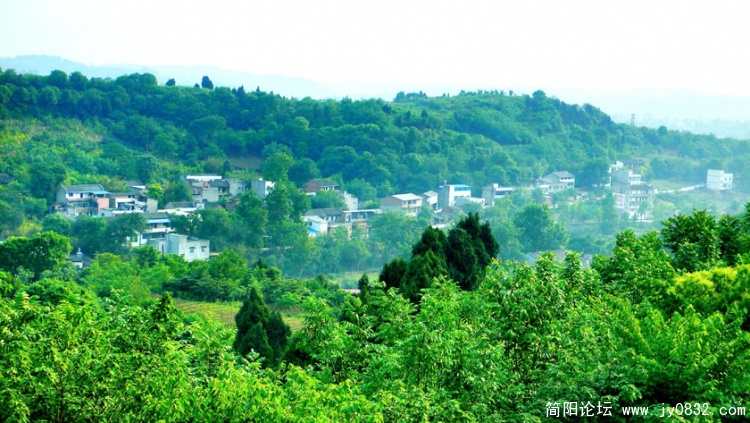P1170406 副本.jpg