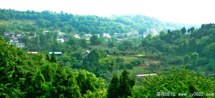 P1170359 拷贝副本.jpg