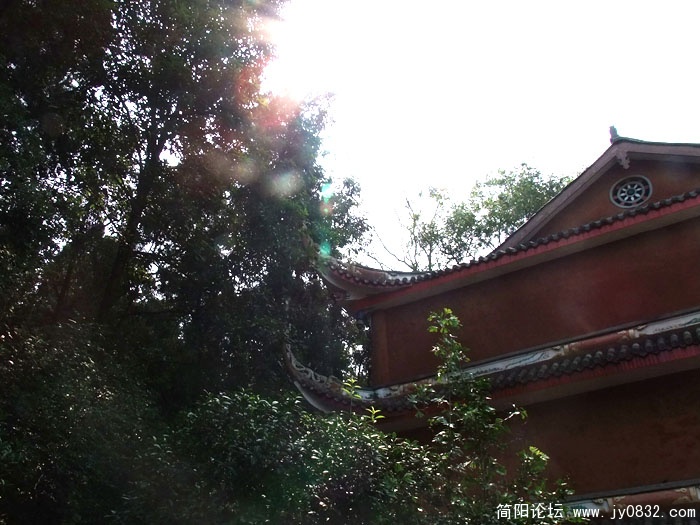 DSCF5630.jpg