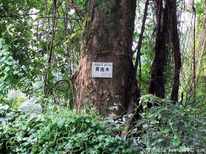 DSCF5668.jpg
