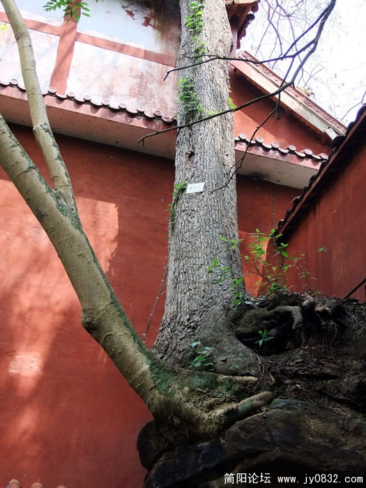 DSCF5672.jpg