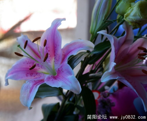 IMGP5947_调整大小.jpg