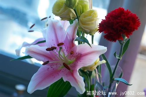 IMGP5941_调整大小.jpg