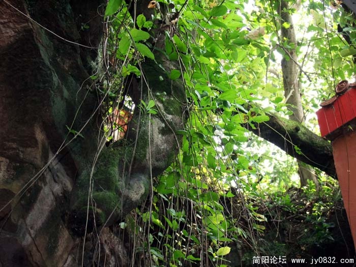 DSCF5731.jpg