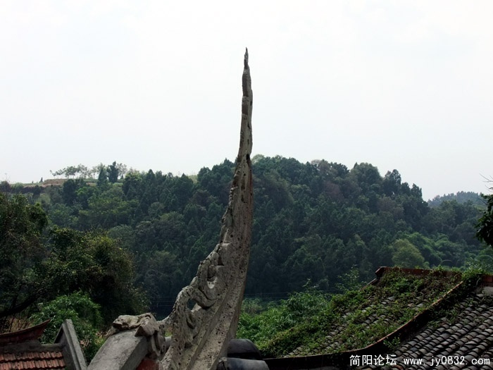 DSCF5753.jpg