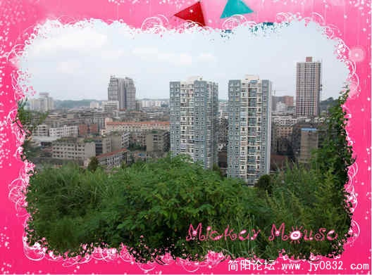 ALIM1229_conew1.jpg