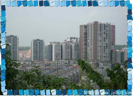ALIM1236_conew1.jpg