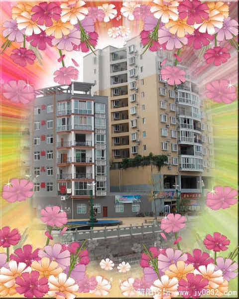 ALIM1251_conew1.jpg