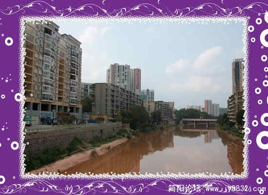 ALIM1252_conew1.jpg