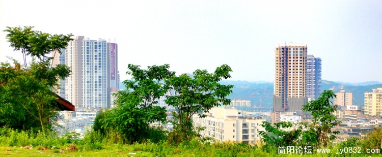 P1170399 副本.jpg