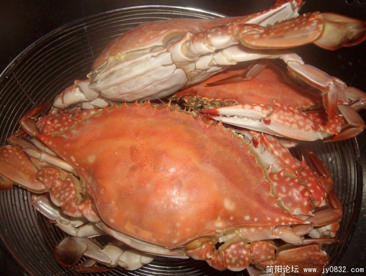 SANY2784.JPG