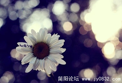 24bb5617a67e1945d94788a7f3a07089.jpg