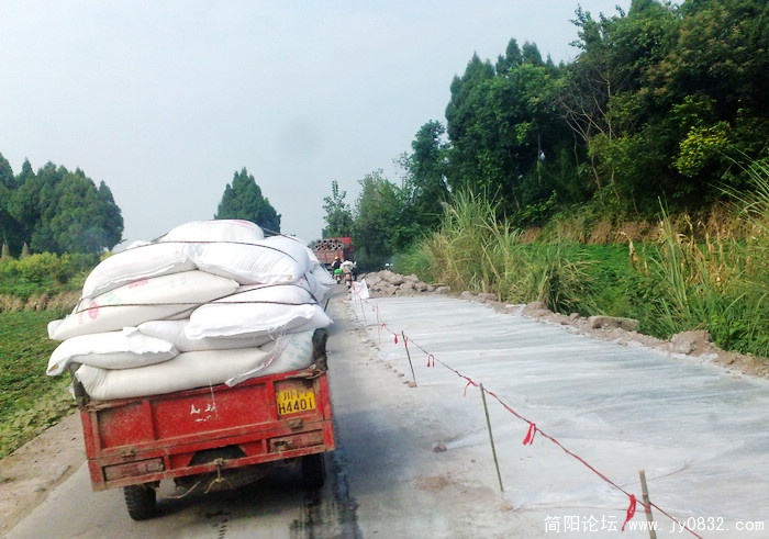 201009165975.jpg