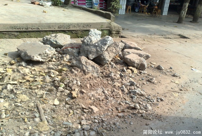 201009165981.jpg