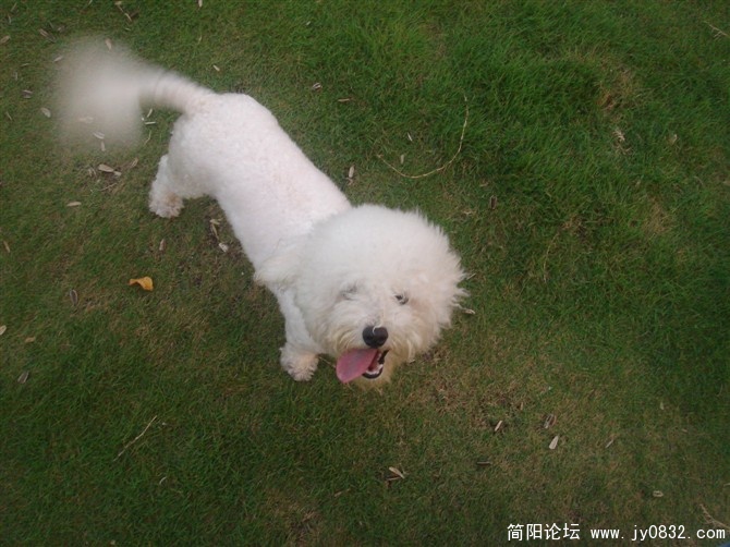 这就是俺