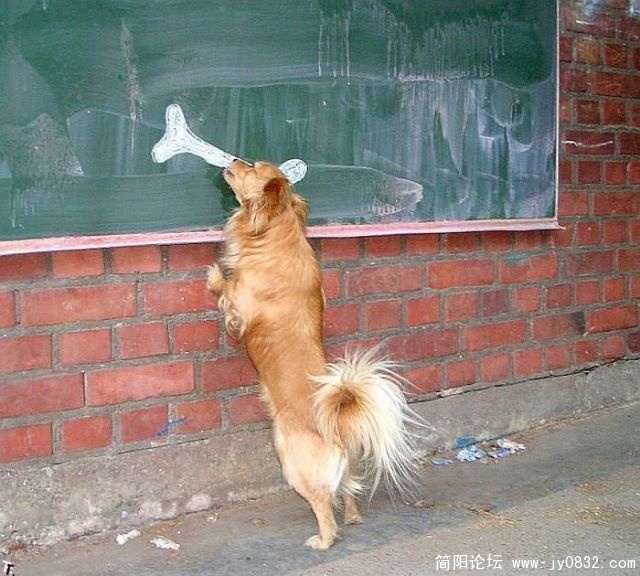 daily_picdump_640_10.jpg