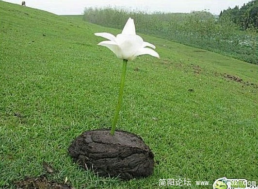 无标题.jpg