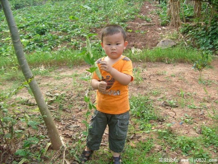S7303169.JPG