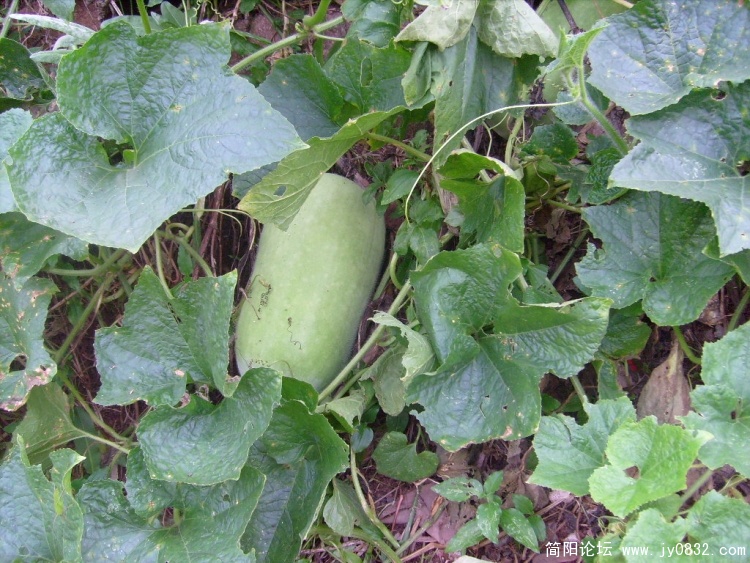 S7303173.JPG