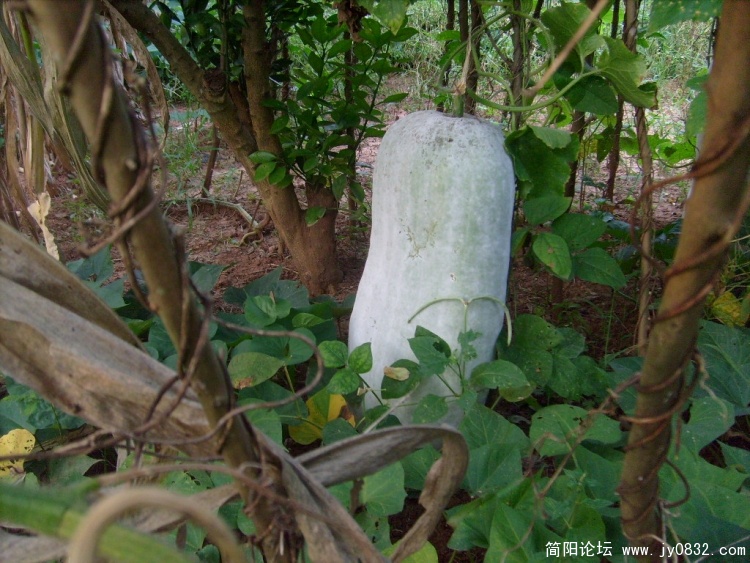 S7303190.JPG