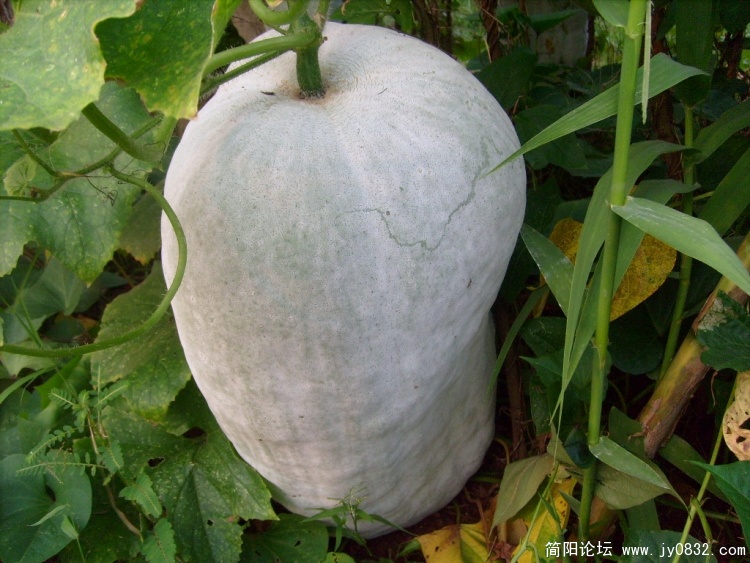 S7303189.JPG