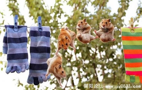 親愛的，我抓住你了。