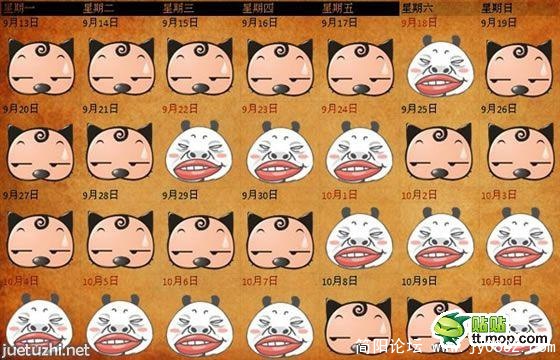 25.jpg