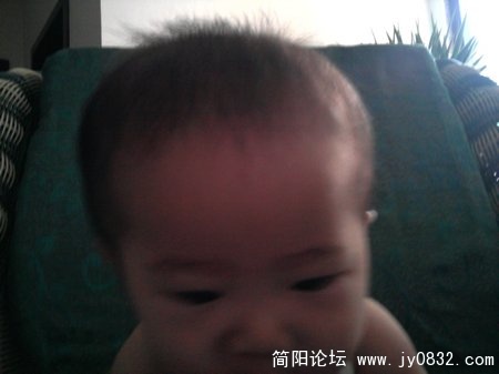 照片0335.jpg