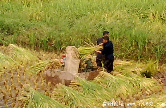 201009216081.jpg