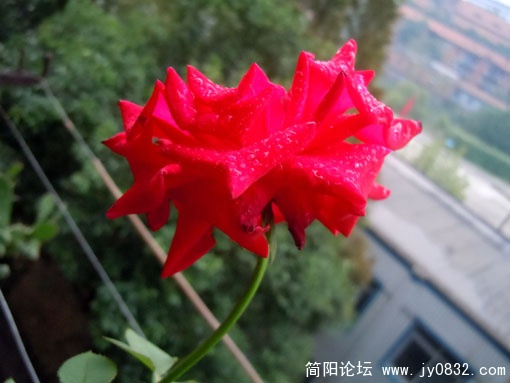 02.jpg