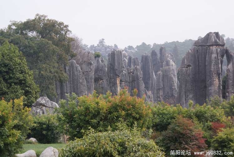 云南石林2.jpg