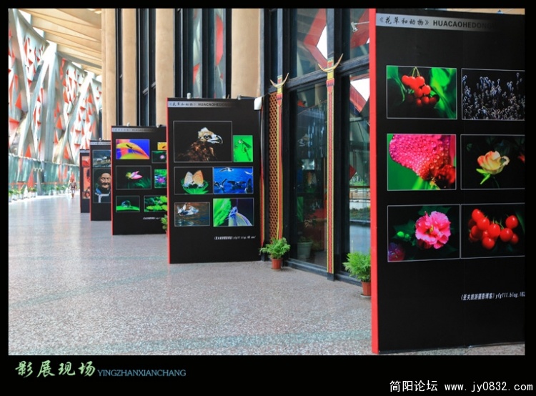 展出现场——05副本.jpg